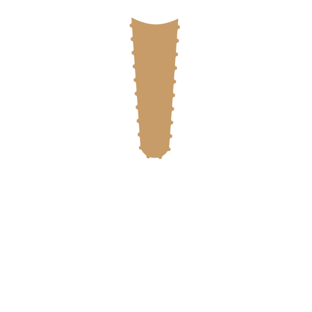 Home 8 Endodonzia